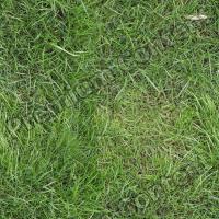 Seamless Grass 0011